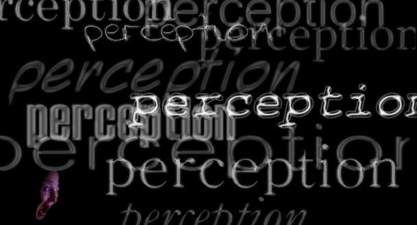 perception